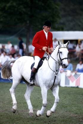 Gerd Wiltfang (Deutschland) auf Goldike im Anlauf Pferdesport Herren Springreiten 1979, Reiten, Reitsport, Pferd, Reitturnier, Springreitturnier, Turnier Einzelbild Aachen