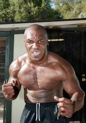 Bissig: Mike Tyson (USA) fletscht die Zähne - PUBLICATION ONLY FOR GERMAN, SWISS, AUSTRIAN AND HUNGARIAN MEDIA (Icon9880007) Boxen Herren Boxsport 2004, Profiboxen, Shooting, Fotoshooting, Fototermin Einzelbild Phoenix Wut, EDITORIAL USE ONLY