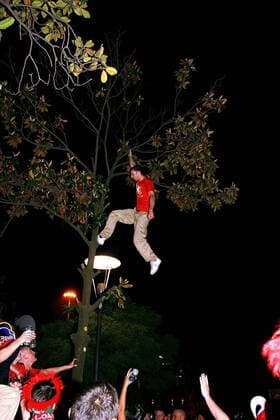 Liverpooler Fan weiß wohl nicht wohin mit seiner Energie und klettern mal eben auf einem Baum Fußball EC 1 Herren Champions League 2004 2005, Finale, Endspiel, Liverpool FC Einzelbild Istanbul