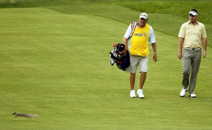 Kenneth Ferrie (England, re.) und sein Caddie Gary Tilston beobachten ein flüchtende Eichhörnchen - (Icon7819160) Golf Herren US Open Championship 2006, PGA Tour Gruppe Mamaroneck, New York, NY, N Y Golf Herren US Open Championship 2006, PGA Tour Gruppe Mamaroneck, New York, NY, N Y EDITORIAL USE ONLY