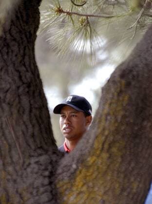 Eldrick Tiger Woods (USA) hinter einer Astgabel -  (SDP2007012809) Golf Herren Buick Invitational 2007, PGA Tour Einzelbild San Diego Golf Herren Buick Invitational 2007, PGA Tour Einzelbild San Diego