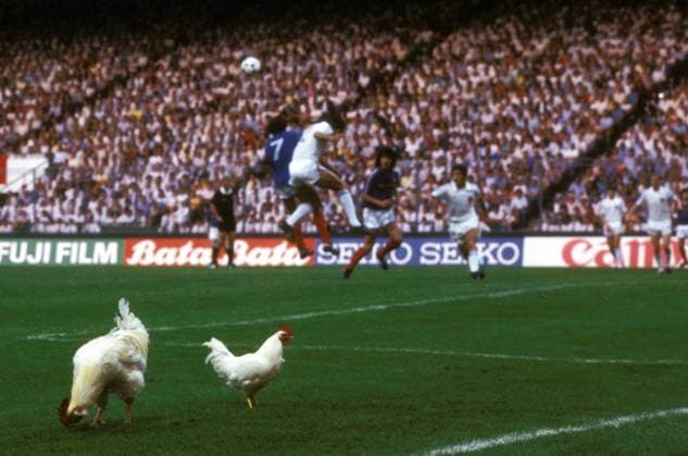 Französisches Federvieh grast während der Partie auf dem Spielfeld Fußball Länderspiel Herren EM 1984, Nationalmannschaft, Nationaltrikot, Gruppe A, Frankreich - Jugoslawien 3:2 Gruppe St. Etienne, Saint Komik, Fußball Länderspiel Herren EM 1984, Nationalmannschaft, Nationaltrikot, Gruppe A, Frankreich - Jugoslawien 3:2 Gruppe St. Etienne, Saint Komik,