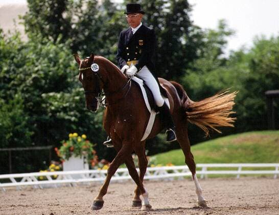 Dr. Reiner Klimke (Deutschland) Pferdesport Herren Dressurreiten 1996, Reiten, Reitsport, Dressur Einzelbild Aufnahmedatum geschätzt Pferdesport Herren Dressurreiten 1996, Reiten, Reitsport, Dressur Einzelbild Aufnahmedatum geschätzt