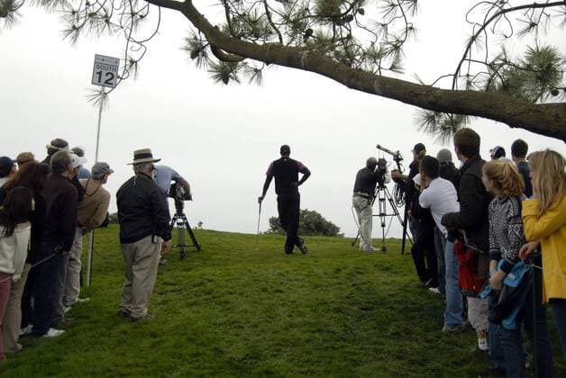 Tiger Woods (USA) wartet am zwölften Loch -  (sdp2008012601) Golf Herren Buick Invitational 2008, PGA Tour Totale San Diego Golf Herren Buick Invitational 2008, PGA Tour Totale San Diego