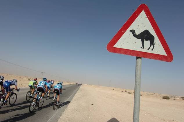 Warnung vor freilaufenden Kamelen am Rande der 2. Etappe der Tour of Qatar 2009 -  Radsport Herren Tour of Qatar 2009, Straßenradsport, Straße, Rad Totale 2. Etappe: Khalifa Stadium - Al Khor Corniche