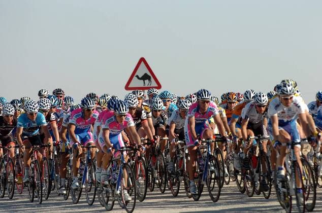 Peloton der Tour of Qatar 2009 - Vorsicht Kamele! -  Radsport Herren Tour of Qatar 2009, Straßenradsport, Straße, Rad, Totale 4. Etappe: Doha Old Souq - Madinat Al Shamal