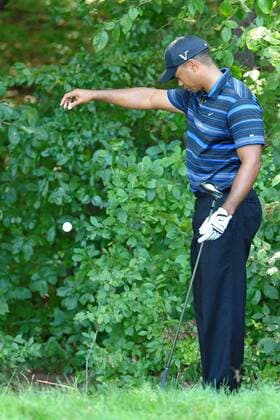 Tiger Woods (USA) - Icon2870909041559 EDITORIAL USE ONLY