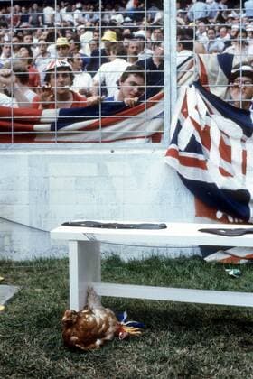 Gallischer Hahn, Maskottchen der Franzosen, vor englischem Fanblock Fußball WM Herren WM 1982, Länderspiel, Nationalteam, England - Frankreich 3:1 Gruppe Bilbao