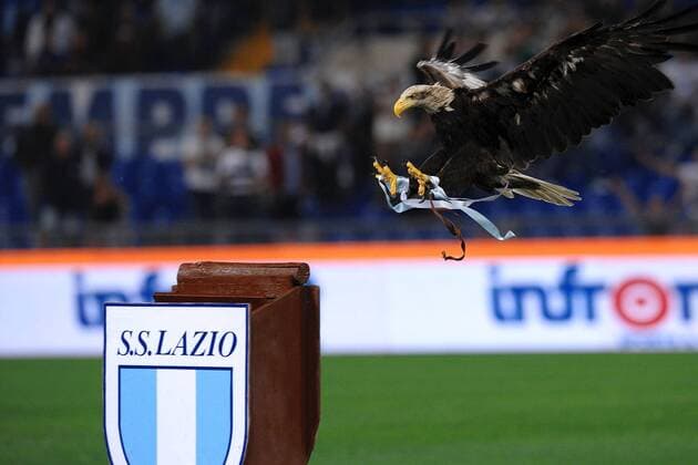Adler - Lazio Wappentier - Lazio Rom (blau) vs. AC Milan (schwarz) - ANDREAXSTACCIOLI o0 Tiere