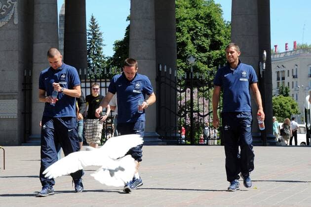 Karim BENZEMA - Franck RIBERY - Jeremy MENEZ (Frankreich) unterwegs im Gorki Park zu Minsk  AnthonyBibardFEP o0 privat Belarus kurios Komik Tiere Vogel Taube