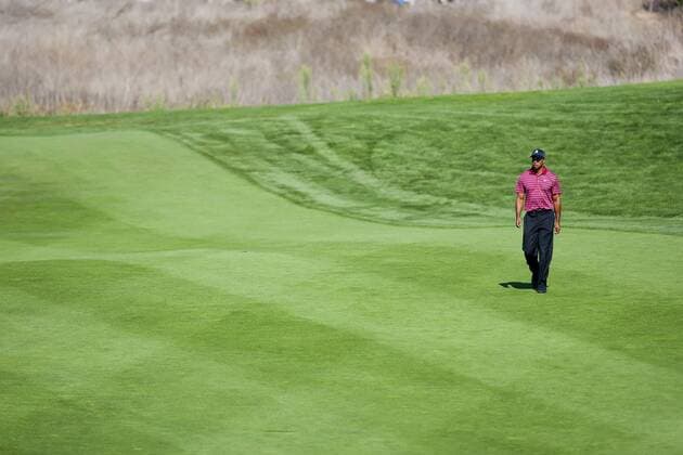 October 9, 2011: PGA Golf Herren golfer Tiger Woods in action during the final round of the Frys.com open at the CordeValle golf club in San Martin, CA. PGA Golf Herren 2011: Frys.com Open OCT 09 - ZUMAct6