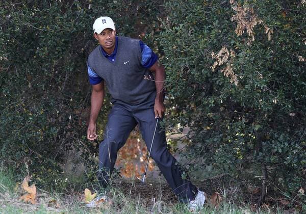 December 02, 2011: Tiger Woods hits the ball from the rough during the second round of the Chevron World Challenge at Sherwood Country Club in Thousand Oaks, CA. PGA Golf Herren DEC 02 Chevron World Challenge - Second Round Icon111202025 EDITORIAL USE ONLY