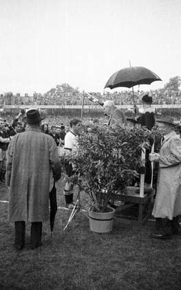 WM Finale 1954 in Bern - Die BR Deutschland wird Weltmeister - Mannschaftskapitän Fritz Walter bei der Siegerehrung