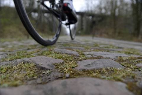 Kopfsteinpflasterpassage Boules d Herin Arenberg CYCLING: Paris - Roubaix. Reconnaissance - 05 04 2012 xPhotoNewsx 