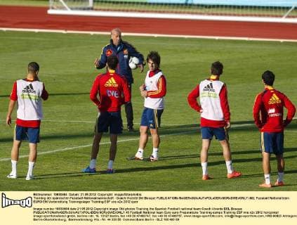 Training der spanischen Fussball-Nationalmannschaft - Coach Vicente Del Bosque  (45)