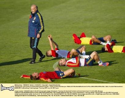 Training der spanischen Fussball-Nationalmannschaft - Coach Vicente Del Bosque  (58)