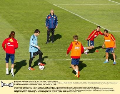 Training der spanischen Fussball-Nationalmannschaft - Coach Vicente Del Bosque  (71)