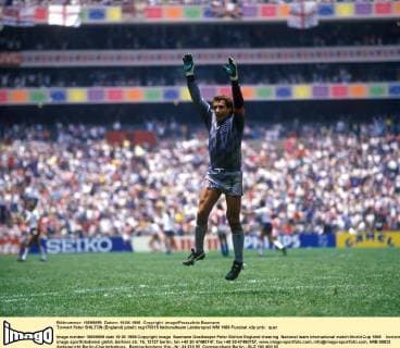 Torwart Peter SHILTON (England) jubelt