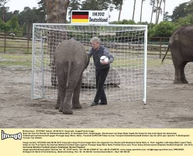 Start der Fan Fun Runde mit Elefantendame Nelly im Serengeti-Park, Hodenhagen. Gemeinsam mit Sepp Maier tippte Sie heute für das erste Spiel der deutschen Fußballnationalmannschaft gegen Portugal Sepp Maier, Nelly