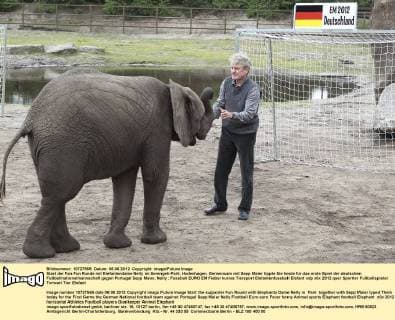 Start der Fan Fun Runde mit Elefantendame Nelly im Serengeti-Park, Hodenhagen. Gemeinsam mit Sepp Maier tippte Sie heute für das erste Spiel der deutschen Fußballnationalmannschaft gegen Portugal Sepp Maier, Nelly