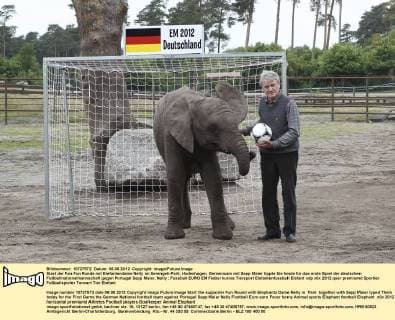 Start der Fan Fun Runde mit Elefantendame Nelly im Serengeti-Park, Hodenhagen. Gemeinsam mit Sepp Maier tippte Sie heute für das erste Spiel der deutschen Fußballnationalmannschaft gegen Portugal Sepp Maier, Nelly