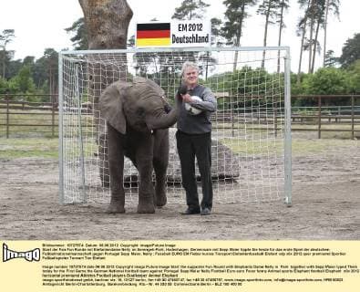 Start der Fan Fun Runde mit Elefantendame Nelly im Serengeti-Park, Hodenhagen. Gemeinsam mit Sepp Maier tippte Sie heute für das erste Spiel der deutschen Fußballnationalmannschaft gegen Portugal Sepp Maier, Nelly