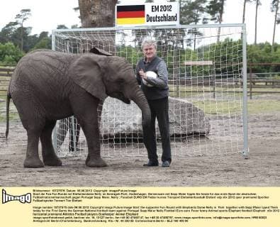 Start der Fan Fun Runde mit Elefantendame Nelly im Serengeti-Park, Hodenhagen. Gemeinsam mit Sepp Maier tippte Sie heute für das erste Spiel der deutschen Fußballnationalmannschaft gegen Portugal Sepp Maier, Nelly