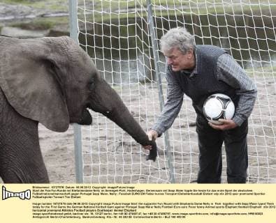 Start der Fan Fun Runde mit Elefantendame Nelly im Serengeti-Park, Hodenhagen. Gemeinsam mit Sepp Maier tippte Sie heute für das erste Spiel der deutschen Fußballnationalmannschaft gegen Portugal Sepp Maier, Nelly