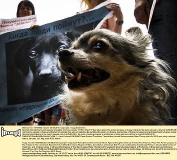 Second international march against slaughter of stray animals ???Fair Play??? has taken place.The action purpose is to pay tribute to the slain animals, a boycott to EURO 2012 (not only by reason of mass annihilation of animals, but also of inadmissible dictatorship policy in Ukraine, destruction of historical values and extinguishment of green zones in Ukraine).Participants in the march passed near the EURO 2012 fan zone, chanting slogans in protection of stray pets and calling to boycott EURO 2012. 
