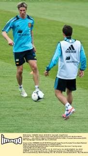 Fernando Torres - Spain national soccer team during training session for the Euro 2012 in Gniewino --- delu_200612 