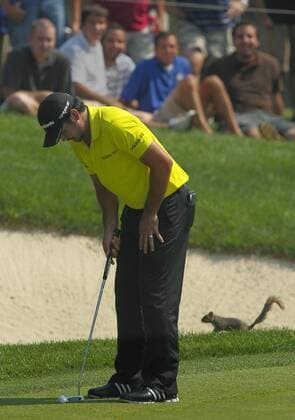 Aug. 3, 2012 - Akron, OH, USA - A squirrel gets a close up look at Jason Day as he lines up a putt on the 7th green during second-round play at the 2012 WGC-Bridgestone Invitational at Firestone Country Club on Friday, August 3, 2012, in Akron, Ohio. 2012 WGC-Bridgestone Invitational - ZUMAm67