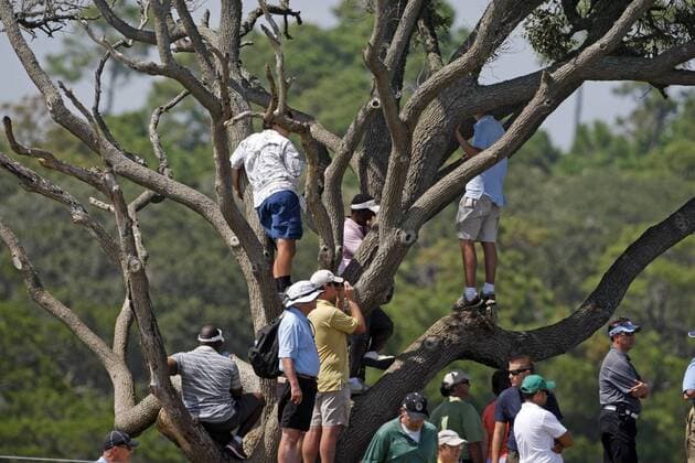 Aug. 11, 2012 - Kiawah Island, SC, USA - Golf fans watch the action on the 2nd hole during the third round of the 2012 PGA Golf Herren Championship at the Ocean Course on Kiawah Island, South Carolina, on Saturday, August 11, 2012. PGA Golf Herren Championship, 3rd round - ZUMAm67
