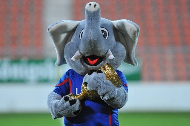 Fußball Oberliga Niederrhein 18.Spieltag: KFC Uerdingen 05 am 28.11.2012 im Grotenburg Stadion in Krefeld Der Grotifant ( Maskottchen KFC Uerdingen ) mit den DFB Pokal in den Armen