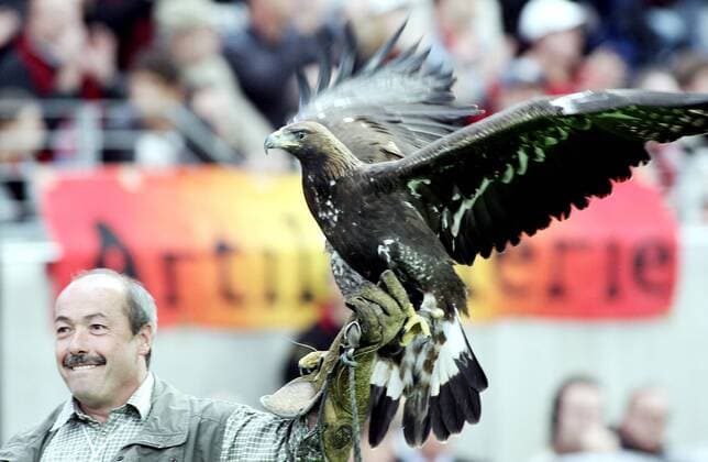22.10.2005 1. Bundesliga, Eintracht Frankfurt - 1. FC Köln v.l. Norbert Lawitschka (Falkner vom Stein Adler Attila) mit Steinadler Attila