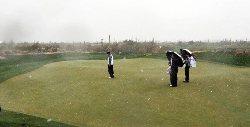 Players putt on the ninth green just before play was suspended in the first round of the Accenture World Golf Championship at The Golf Club at Dove Mountain in Marana, Arizona February 20, 2013. Snow has suspended play for the day.  PXP2013022006
