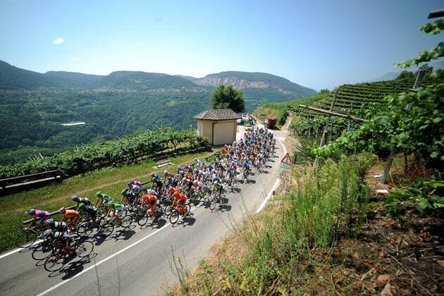 Das Fahrerfeld fährt entlang der vielen Weinanbaugebiete in Südtirol - Aktion - quer - Event: 70. Tour de Pologne - Tour of Poland - Polen Rundfahrt 2013 - 2.Etappe: Marilleva Vale di Sole nach Passo di Pordoi Val di Fassa 206.5 km - Location: Italien - Europa - Datum: 28.07.2013