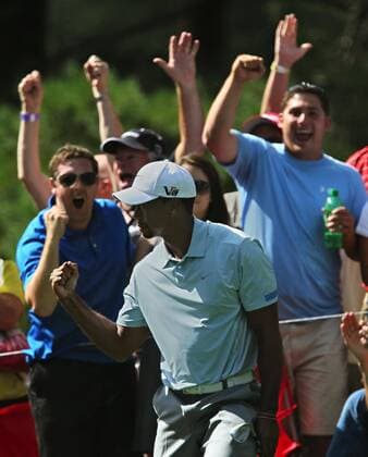 Aug. 3, 2013 - Akron, OH, USA - Tiger Woods pumps his fist as members of the gallery celebrate after he holed a shot from a bunker on the 13th hole during the third round of the WGC-Bridgestone Invitational at Firestone Country Club in Akron, Ohio, on Saturday, August 3, 2013. Woods carries a seven-shot lead heading into the final round. WGC-Bridgestone Invitational - ZUMAm67