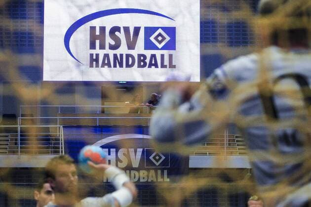 Deutschland, Hamburg, Sporthalle Hamburg, DKB Handball Bundesliga, Saison 2013 2014, HSV Handball - KIF Kolding Kopenhagen HSV Handball Emblem, Symbol, Spieler, Tornetz