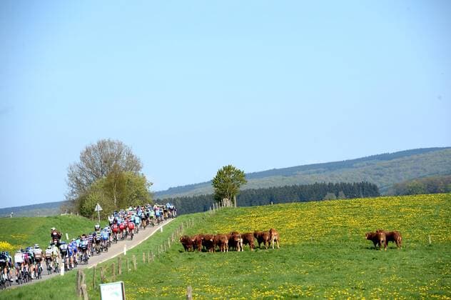 2014, La Fleche Wallonne 