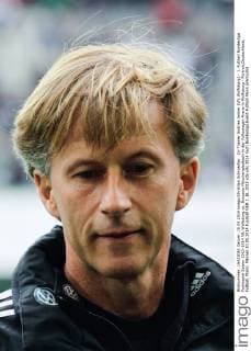 Co-Trainer Andries Jonker (VfL Wolfsburg) - 1. Fußball Bundesliga Punktspiel Saison 2013-2014 VfL Wolfsburg vs. Borussia Mönchengladbach in der Volkswagen Arena in Wolfsburg - Portrait,Deutschland, Fußball, Mann, Männer,10.05.2014