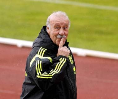 Spain s national team training session. In this picture, Vicente Del Bosque. xFOTOxCHEMAxREYx 