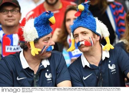 French Fans are seen before a Group E match of 2014 FIFA World Cup at the Estadio Beira-Rio Stadium in Porto Alegre, June 15, 2014. 