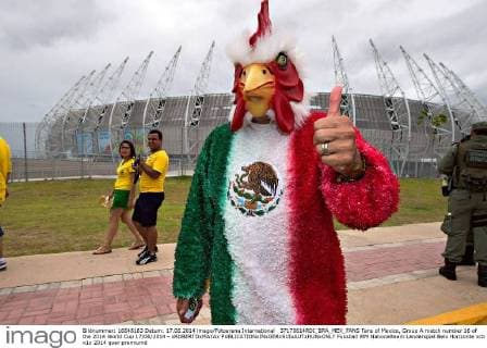 37170614RDI_BRA_MEX_FANS Fans of Mexico, Group A match number 16 of the 2014 World Cup 17 06 2014 - xROBERTOxMAYAx 