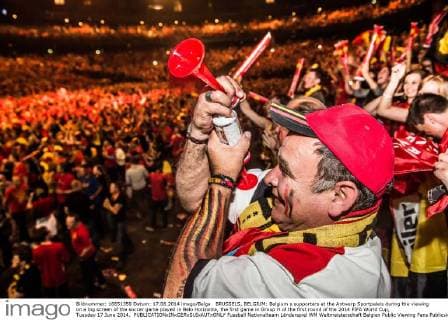 BRUSSELS, BELGIUM: Belgium s supporters at the Antwerp Sportpaleis during the viewing on a big screen of the soccer game played in Belo Horizonte, the first game in Group H of the first round of the 2014 FIFA World Cup, Tuesday 17 June 2014. 