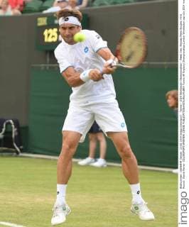 Tennis - 2014 Wimbledon Championships - Week One, Monday Mens Singles, First Round: David Ferrer COLORSPORT ANDREW COWIE 
