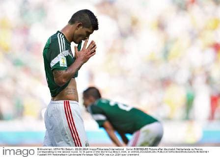 Javier RODRIGUEZ Picture after the match Netherlands vs Mexico, corresponding to the second round, 51 th game of the World Cup Brazil 2014, in xOSVALDOxAGUILARx 
