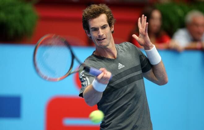 TENNIS - ATP, Erste Bank Open 2014 VIENNA,AUSTRIA,19.OCT.14 - TENNIS - ATP Tennis Herren World Tour, Erste Bank Open, final. Image shows Andy Murray (GBR). 