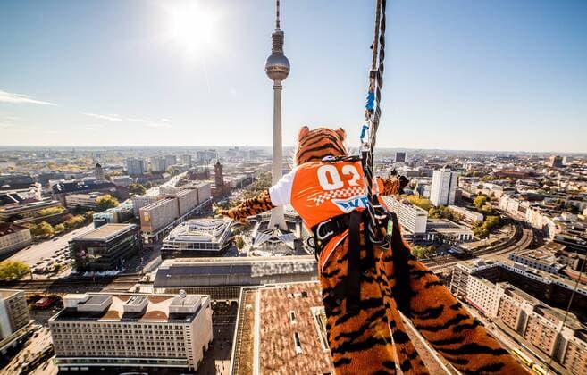 Berlin, Deutschland, 19.10.2014: Volleyball Berlin Recycling Volleys - Urban Volley Court. Das Maskottchen der BR Volleys, Charly, fliegt per base-flight aus 125 Metern vom Park Inn-Hotel auf den Alexanderplatz. Im Hintergrund ein Stadtpanorama mit Fernsehturm