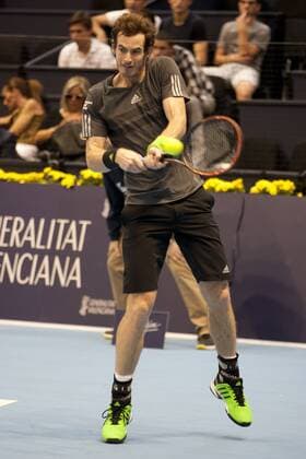Valencia, 23.10.2014 - Andy Murray during his match at the Valencia Open 500. 