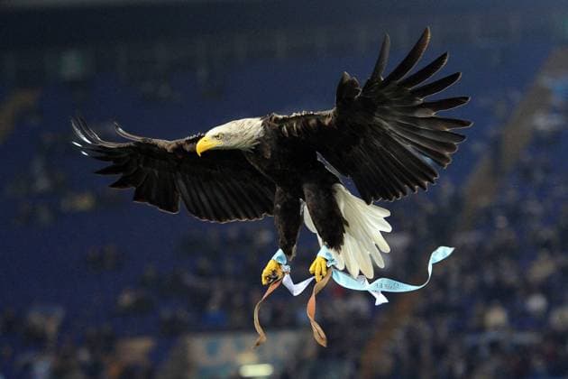 Serie A Lazio Rom - Adler Olimpia 